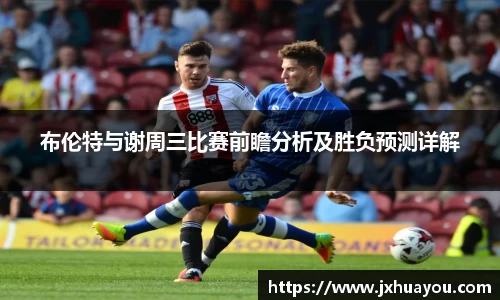 华体会hth体育登录入口